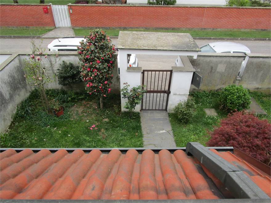 Photo 36